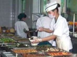 攜手金飯碗，共贏新“食”代 廣州團膳配送與食堂承包服務的品質之選