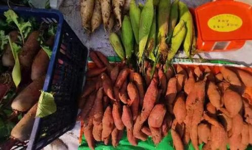 審計人助力打通農副產品產銷對接最后一公里